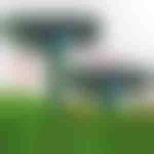 Ultralyds-skadedyrsbekæmper | SONICFIELD