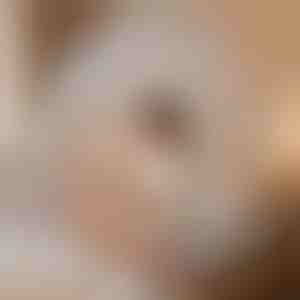 Myggetelt, der beskytter dig | BUGISTOP