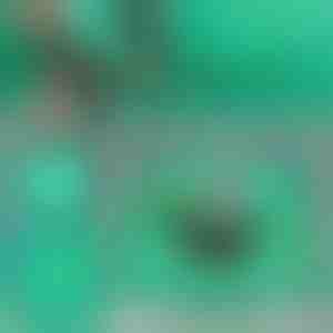 Omplantningsmåtte til planter | FLORAMAT