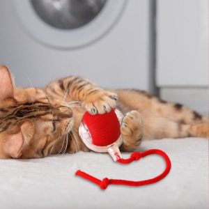 Kæledyrslegetøj, der bevæger sig ved berøring | GATOPLAY