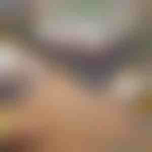 Sammenklappelig og bærbar grill | GRILLOMATE