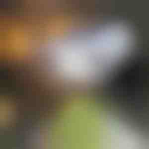 Solarlampe med bevægelsessensor | LUMACAM