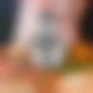 Multifunktionel køkkenblender | MULTIMINCER