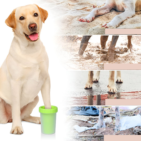 PAWSANI poterens i brug