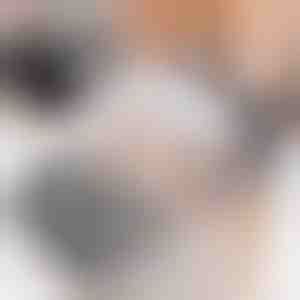 Selvplejebørste til katte (2 stk) | PURRCORNER