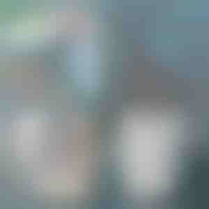 Kattesandsskovl | SCOOPY