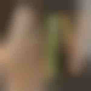 Krølle- og glattejern TWISTLINE