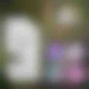 Bærbart børnemikroskop | MINISCOPE