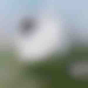 Effektiv vinduesrengøring | WINDOWSWIPE