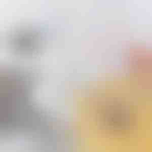 Fleksibel børste til tilstoppede afløb og rør | DRAINOVA