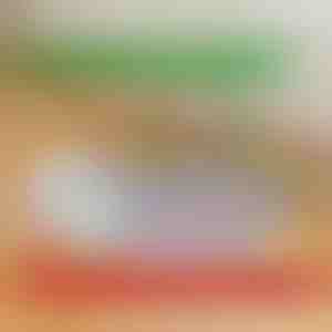 Genanvendelige, lækagesikre hvalpeunderlag | PAWSORB