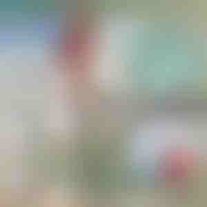 Teleskopisk metal bådkrog | FASTDOCK