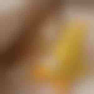 Beroligende plys hundelegetøj med rappende lyd - reducerer separationsangst | CALMQUA